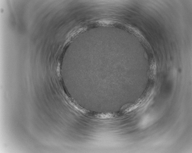 X0000059100765200510101218