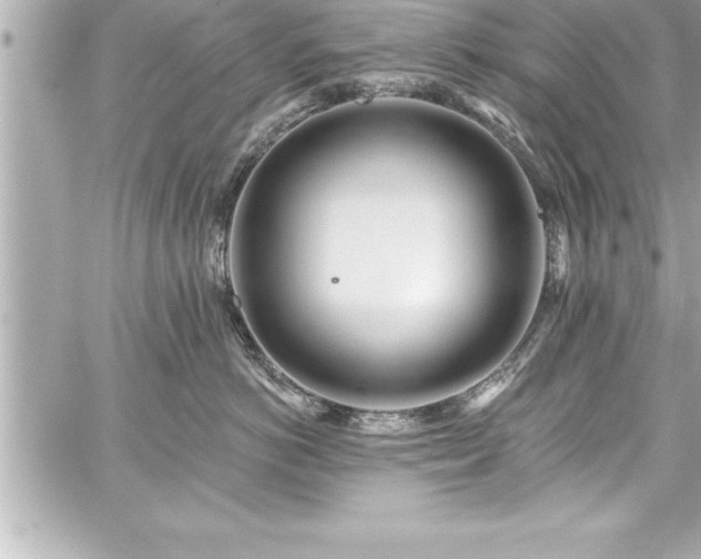 X0000059100766200510101218