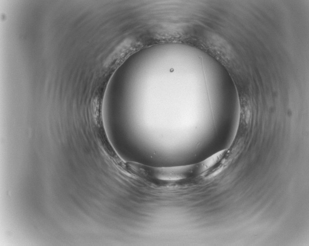 X0000059100767200510101218