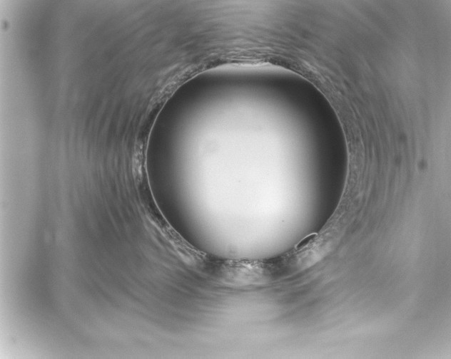 X0000059100768200510101218