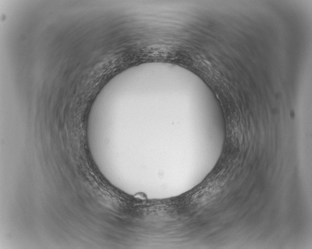 X0000059100769200510101217