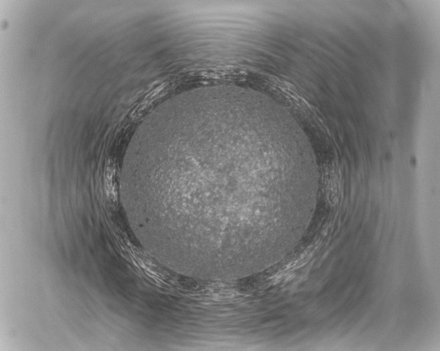 X0000059100770200510101217