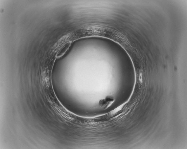 X0000059100771200510101217