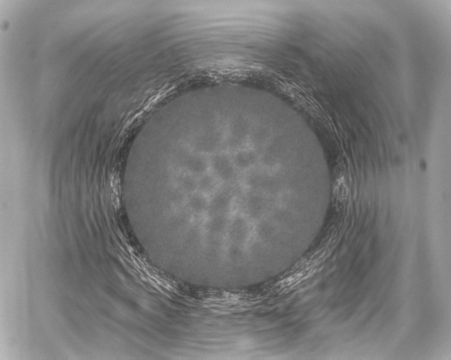 X0000059100772200510101217