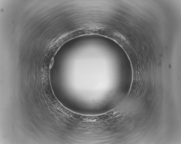 X0000059100773200510101217