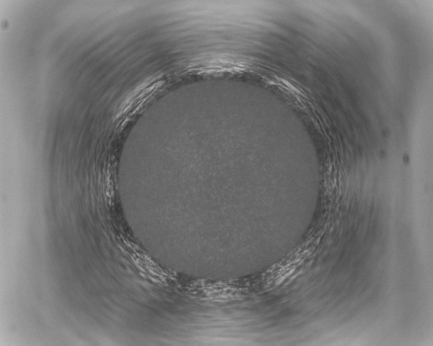 X0000059100774200510101217