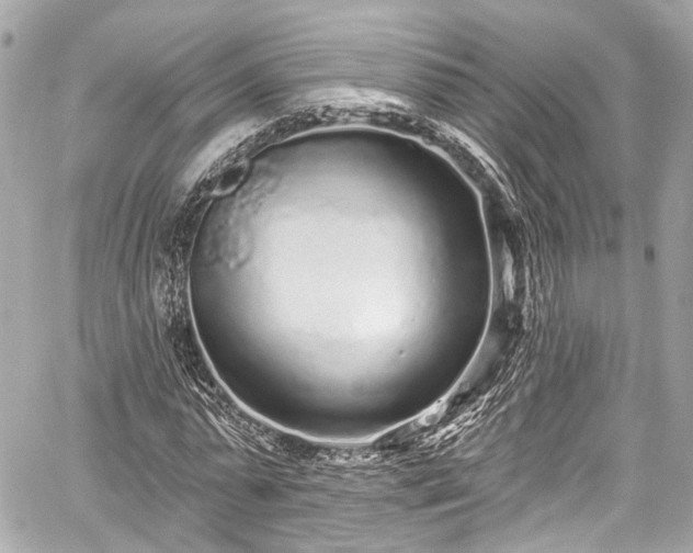 X0000059100775200510101217