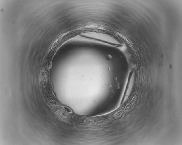 X0000059100776200510101217