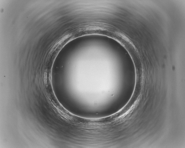 X0000059100777200510101217