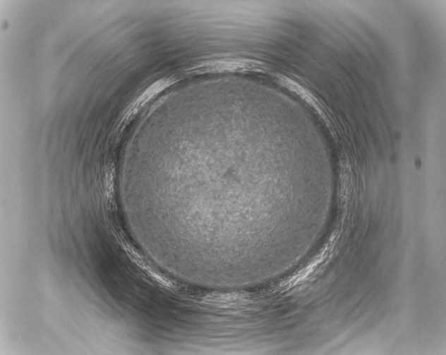 X0000059100778200510101217