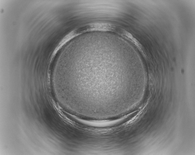 X0000059100779200510101217