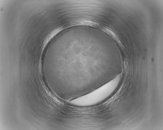 X0000059100780200510101217