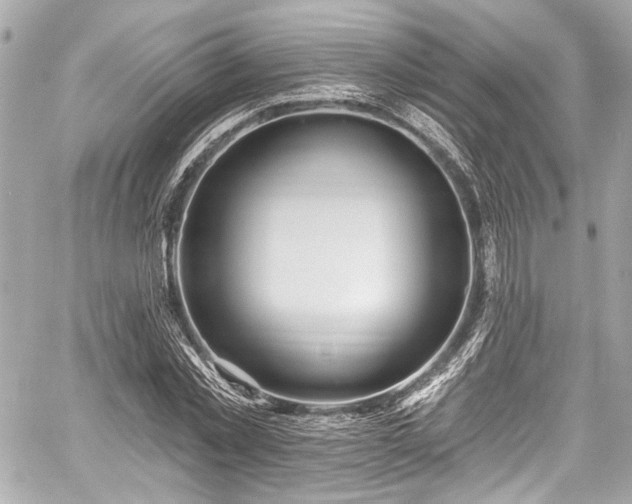 X0000059100781200510101217