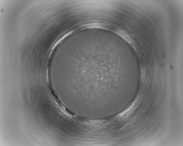 X0000059100782200510101217