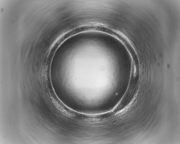 X0000059100783200510101217