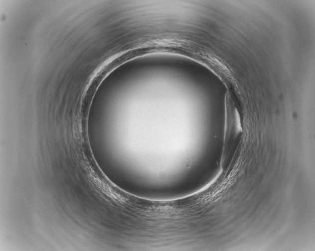 X0000059100784200510101217