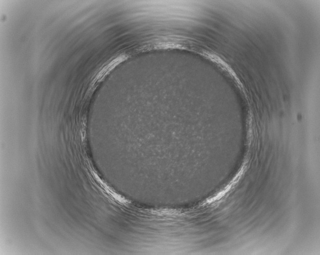 X0000059100785200510101217