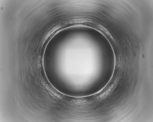 X0000059100786200510101217