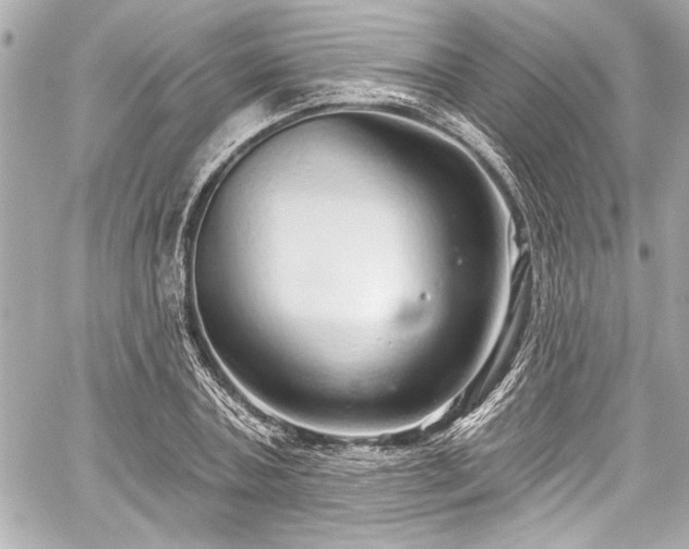 X0000059100787200510101217