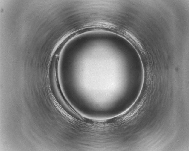 X0000059100788200510101217