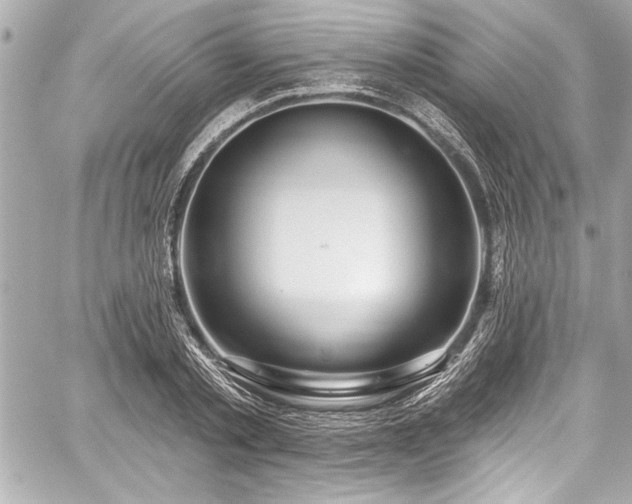 X0000059100789200510101217