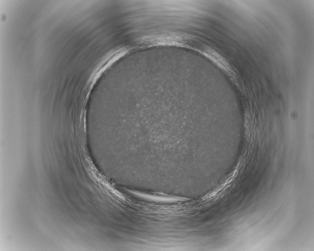 X0000059100790200510101217