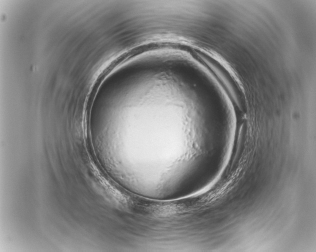 X0000059100791200510101217