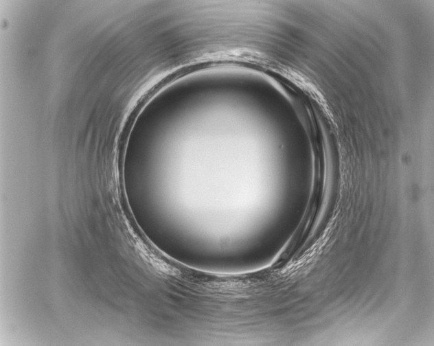 X0000059100792200510101217