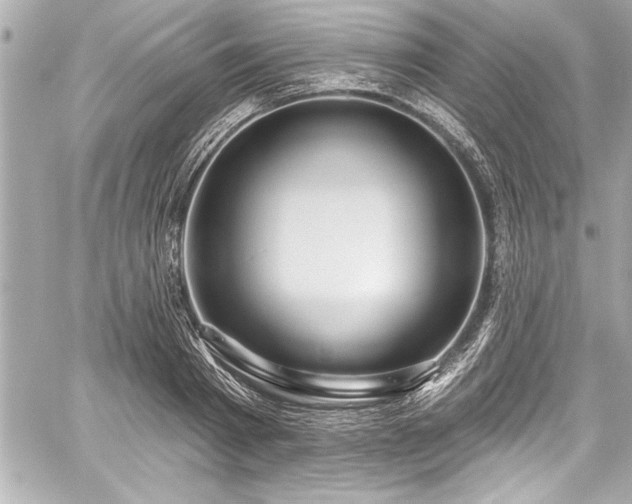 X0000059100793200510101217