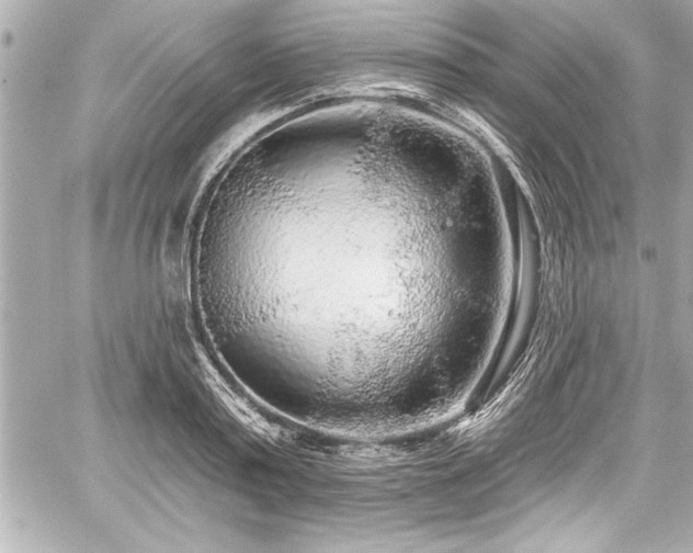 X0000059100795200510101217