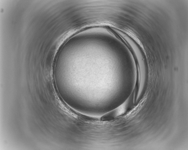 X0000059100797200510101217