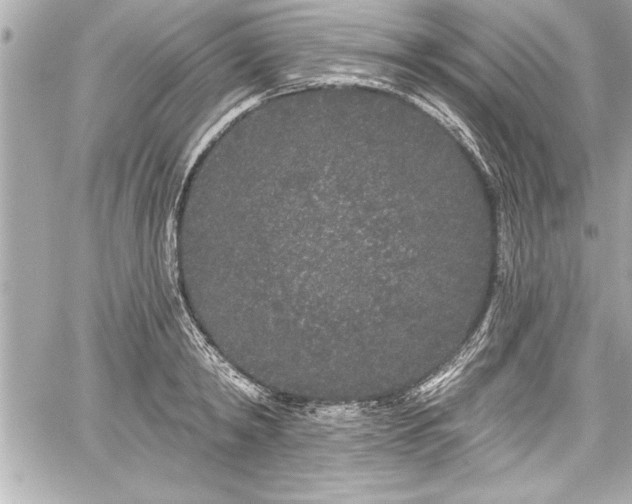 X0000059100798200510101217