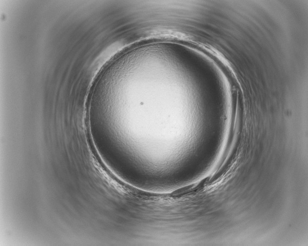 X0000059100799200510101217