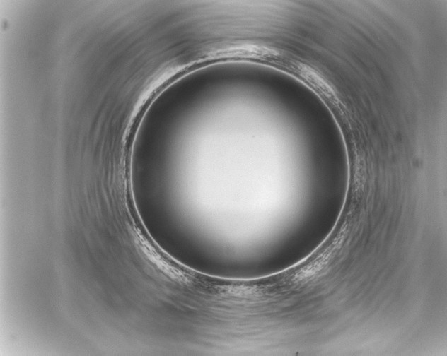 X0000059100800200510101217