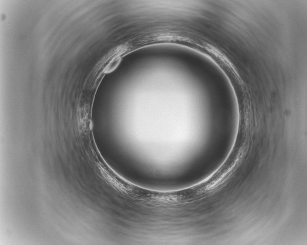 X0000059100801200510101217