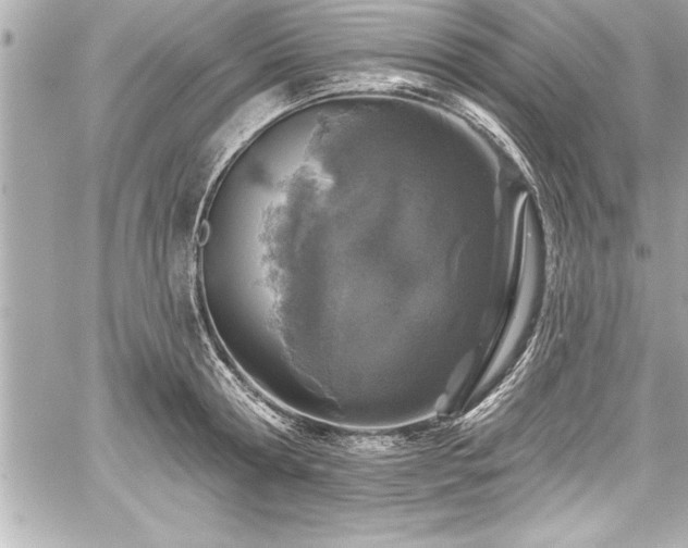 X0000059100802200510101217