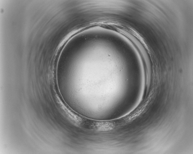 X0000059100803200510101217