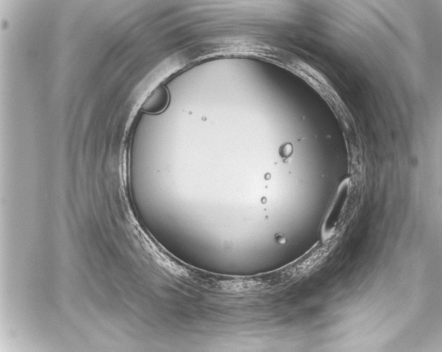 X0000059100804200510101217