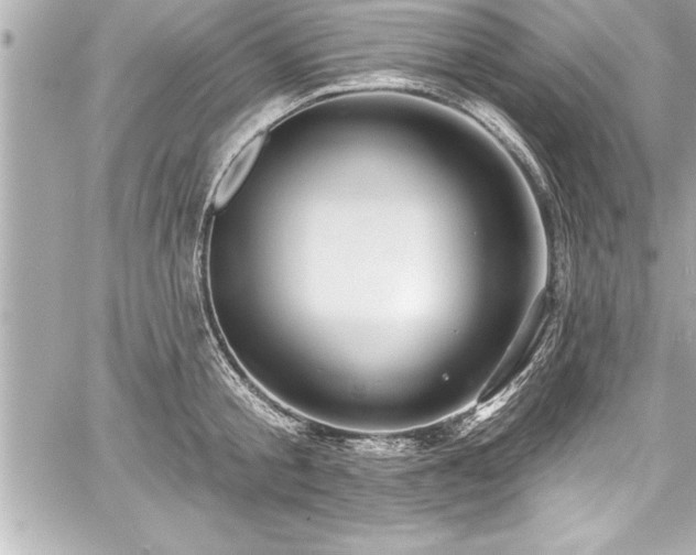 X0000059100805200510101217