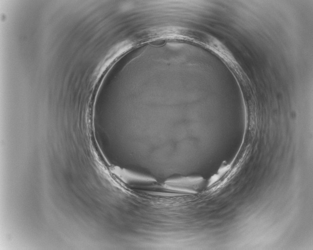 X0000059100806200510101217