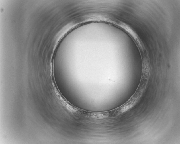 X0000059100807200510101217