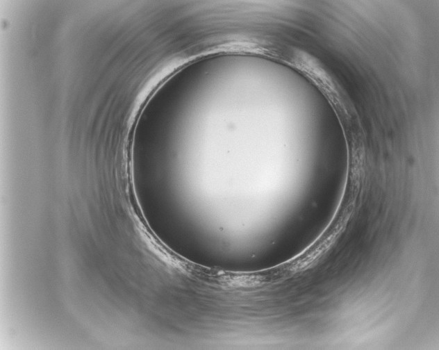 X0000059100808200510101217