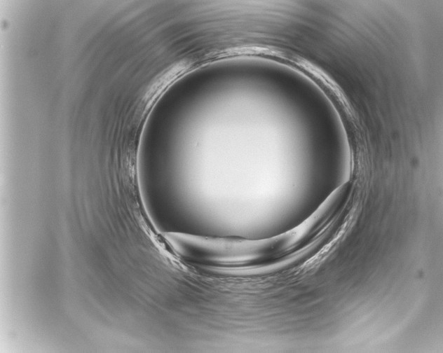 X0000059100809200510101217