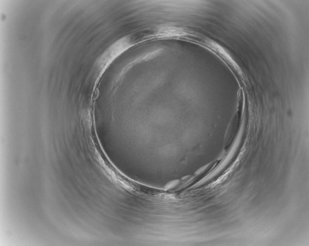 X0000059100810200510101217