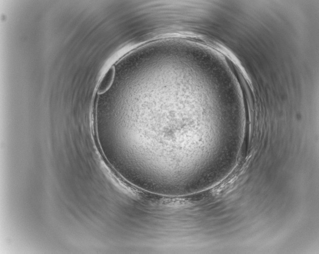 X0000059100811200510101217