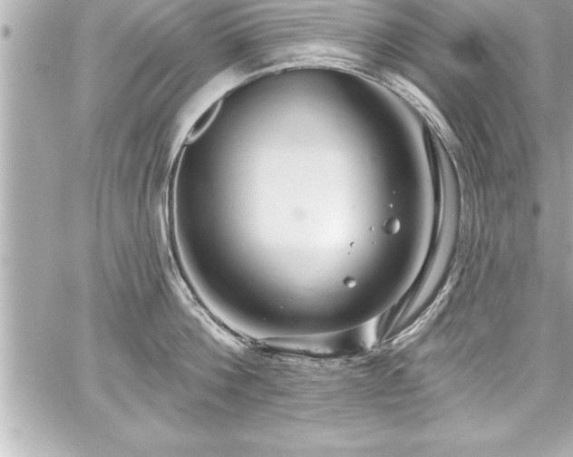 X0000059100812200510101217