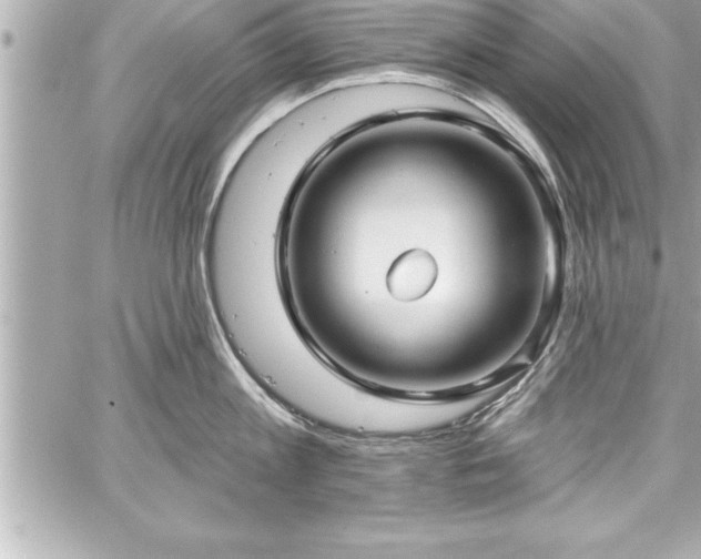 X0000059100813200510101217