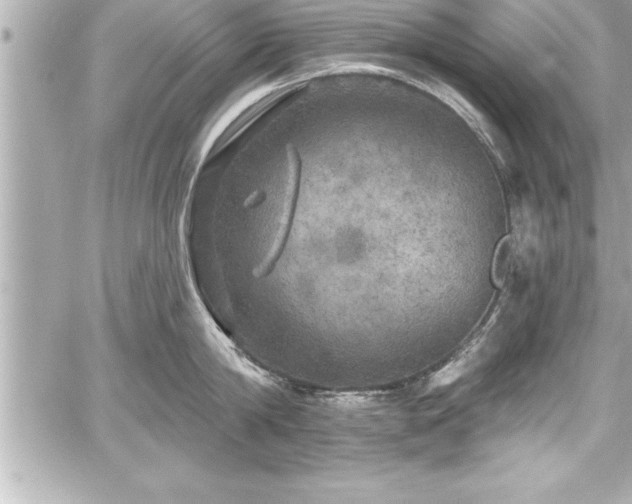 X0000059100814200510101217