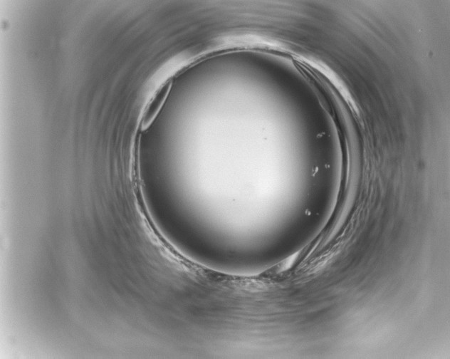 X0000059100815200510101217