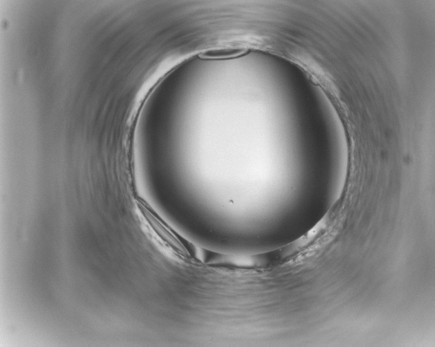 X0000059100816200510101217